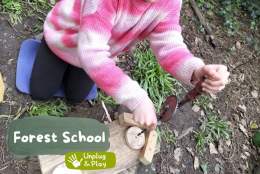 Forest School 2025