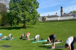 Gardens Yoga: Saturday Mornings