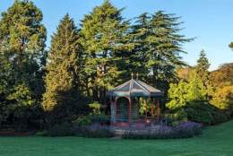 Live on the Bandstand: Birmingham Jazz & Blues Festival (Sunday)