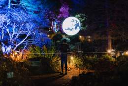 Luminate Winter Trail 2025