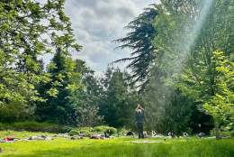 Gardens Yoga: Summer Solstice