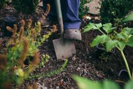 ‘Grow Your Own’ Workshop