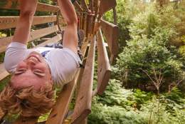 Easter Holidays at Go Ape Coventry