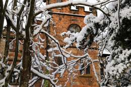 Festive Wreath Making