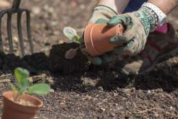 Running a Garden Business