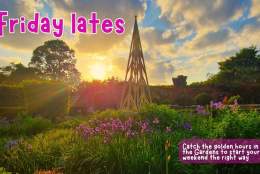 Friday Lates: catching the golden hour