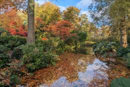 Autumn Garden Tour