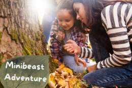 Easter Minibeast Adventure