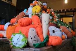 Vile Veg October half-term trail at Charlecote Park