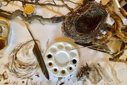 Introduction to Natural Inks (October)
