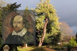 Shakespeare's natural world - talk and tour