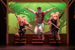 THE MAGIC FLUTE - PROTEIN DANCE
