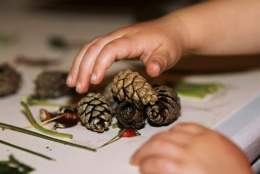 Sense and explore in winter