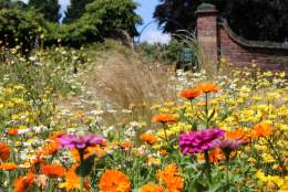 Creative Planting Design