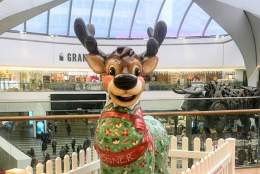 Brum’s Christmas Reindeer Trail