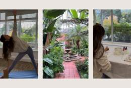 Stretch + Create: A Festive Workshop