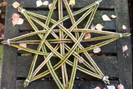 Willow Weaving Stars