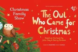 The Owl Who Came for Christmas