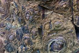 Black Country Geopark