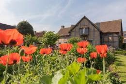 Shakespeare's Birthplace