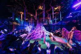 Treetop Golf