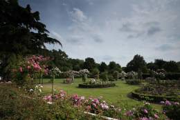 Bantock Park