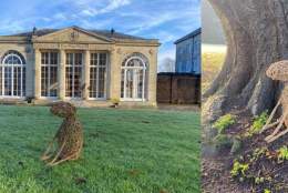 Willow Weaving: Willow Hares