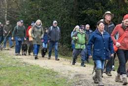 New Forest Walking Festival