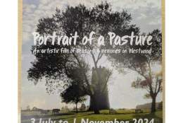 Portrait of a Pasture