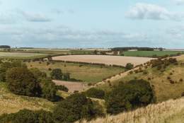 Seaways Supper Walk