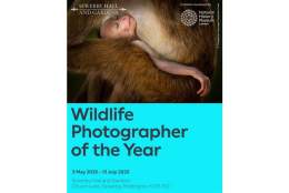 Wildlife Photographer of the Year