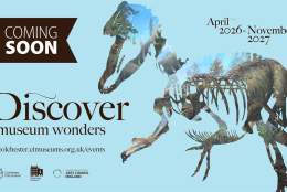 Discover: Museum Wonders at Hollytrees Museum