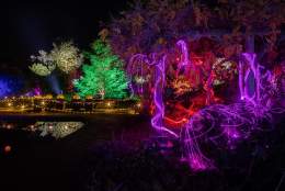 Enlightened - Castle Park Christmas Light Trail