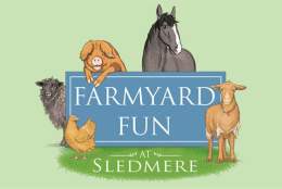 Farmyard Fun