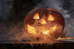 Burton Agnes Halloween Trail