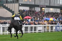 Exeter Racecourse