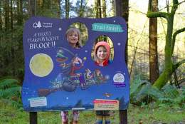 Room on the Broom trail at Haldon Forest Park