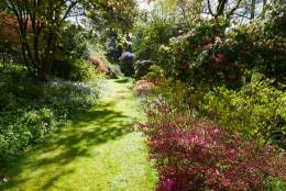 Bringing the outside in: exploring Knightshayes' garden book collection