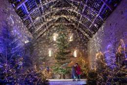 Christmas at Buckland Abbey: Arthurian Legends