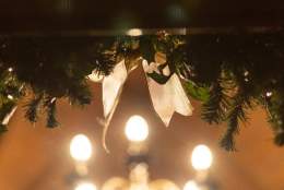 Late night Victorian Christmas at Knightshayes