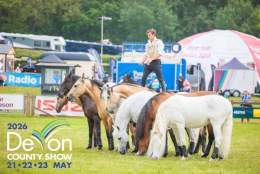 Devon County Show