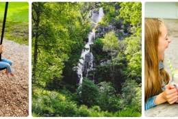 Summer Waterfall Magic