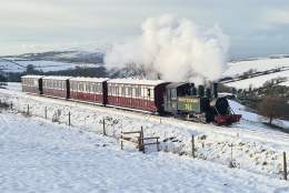 New Year Services at Woody Bay Station