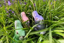 Easter Fun and Bluebells
