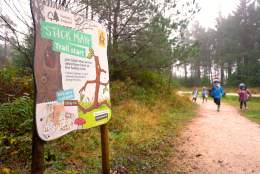 Stick Man activity trail at Haldon Forest Park