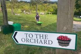 The Big Pick & Cider Fest 2026 - Family Weekend