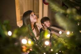 Christmas with Devon's Top Attractions
