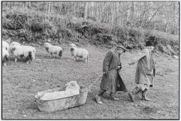 James Ravilious: An English Eye