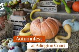 Autumnfest at Arlington Court