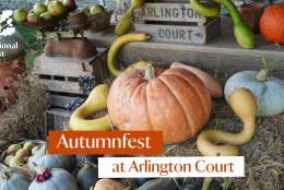 Autumnfest at Arlington Court